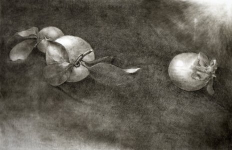 Arance e cipolla, puntasecca